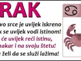 RAK: Iza njegovog NEZNOG IZGLEDA se krije HRABRO SRCE koje sve moze PODNETI - On zna da mora biti JAK kako bi voljenim osobama OMOGUCIO SRECU!