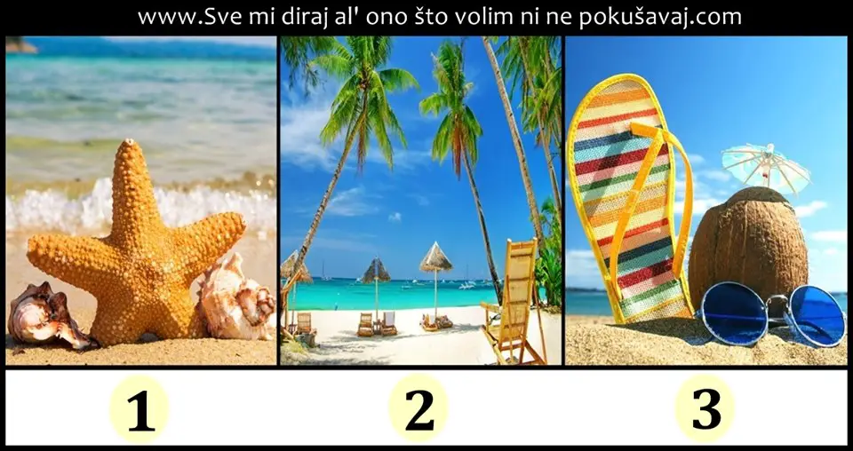 Sta ce ti OBELEZITI LETO, da li TUGA ili SRECA? Izaberi sliku i saznaj!