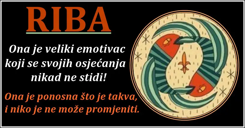 RIBE: TAJANSTVENE, nikad ne znas sta misle, ali  tako LUDO I ISKRENO VOLE!