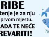 RIBE