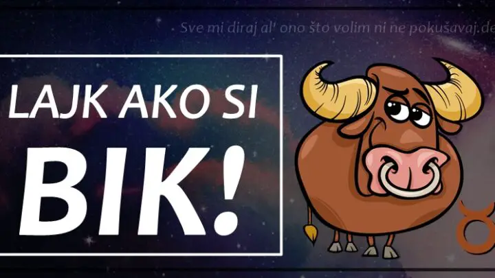 DOBRA DUSA koja SVAKOME VALJA!- Bik je bice koje MOZETE samo ZAZELJETI da imate PORED SEBE!