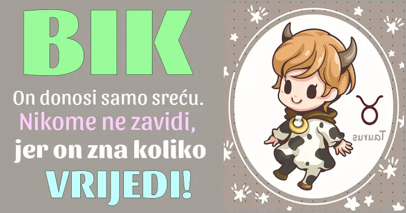 BIK  – kad svi misle da je IZGUBIO  i ODUSTAO,Bik samo STEGNE ZUBE i DOKAZE koliko je JAK!