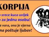 ŠKORPIJA