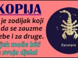 škorpija