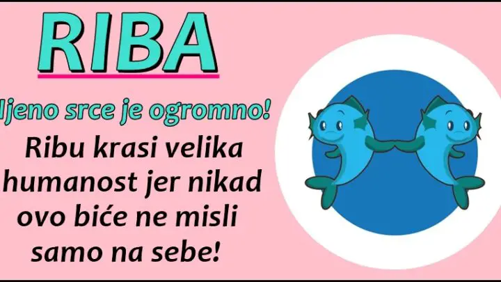 RIBA – ako vam treba neko ko ce vam dati svoju dusu na tacni,onda vam treba  u zivotu jedna riba!