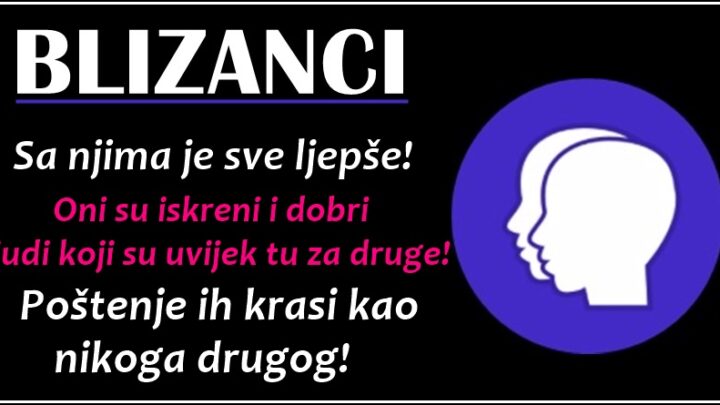 Blizanci vole najjace na svetu,oni su ljudi koji imaju savest i dobro paze sta rade!