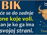 BIK je znak koji ima VELIKO SRCE, i UVEK je tu za one koje ISKRENO VOLI!