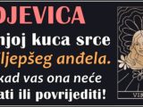 DJEVICA