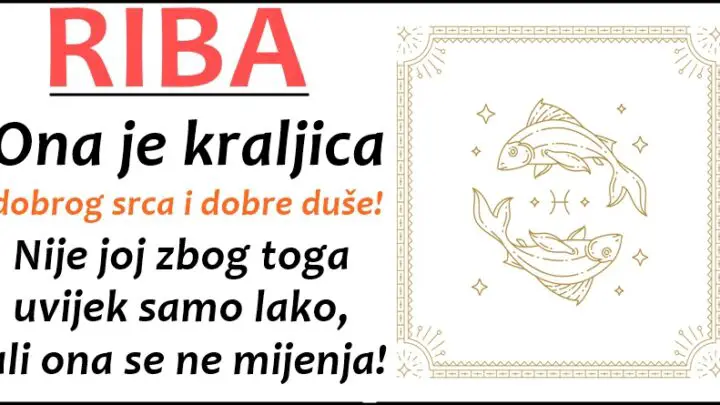 RIBA  je PRAVI PRIJATELJ, dusu svoju daje kada zavoli, i  najbolji je prijatelj kojeg mozete imati!