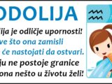 VODOLIJA je cisti dokaz da postoje ljudi kojima je tudja sreca vaznija od njihove!