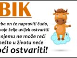 BIK je znak koji ima VELIKO SRCE, kada zavoli DAJE DUSU i cini sve za voljenu osobu!