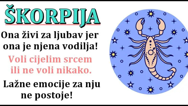 ŠKORPIJA zna i ume da BUDE NAJJAČA cak i onda kada joj se DUŠA RASPADA!