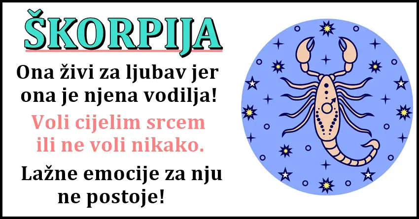 ŠKORPIJA zna i ume da BUDE NAJJAČA cak i onda kada joj se DUŠA RASPADA!