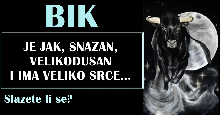 BIK: Kad svi odustanu,on skupi snagu da pokusa jos jednom – ne odustaje dok ne pobedi i dobije sta zeli!