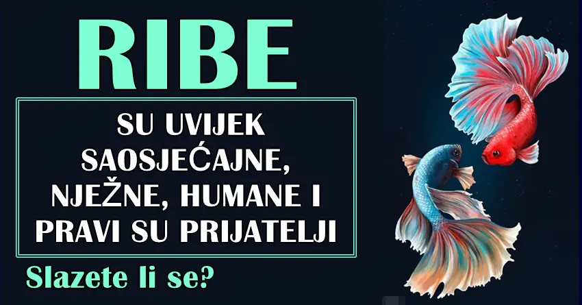 RIBA je uvek OSECAJNA,NEZNA,HUMANA: Pravi je prijatelj i vredna je ljubavi!