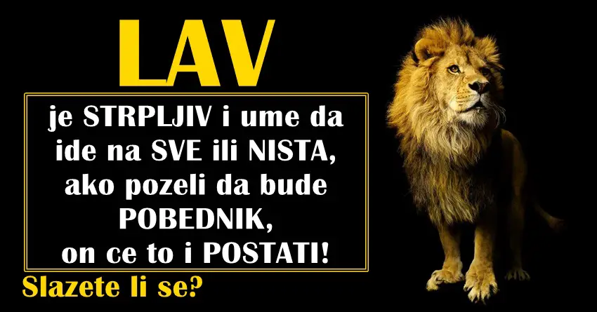 LAV je STRPLJIV i ume da ide na SVE ili NISTA - ako pozeli da bude POBEDNIK,on ce to i POSTATI!