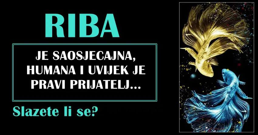 RIBA je dusa od coveka,samo je vrlo tesko steci njeno poverenje, jer je dobrica ali nije naivna!