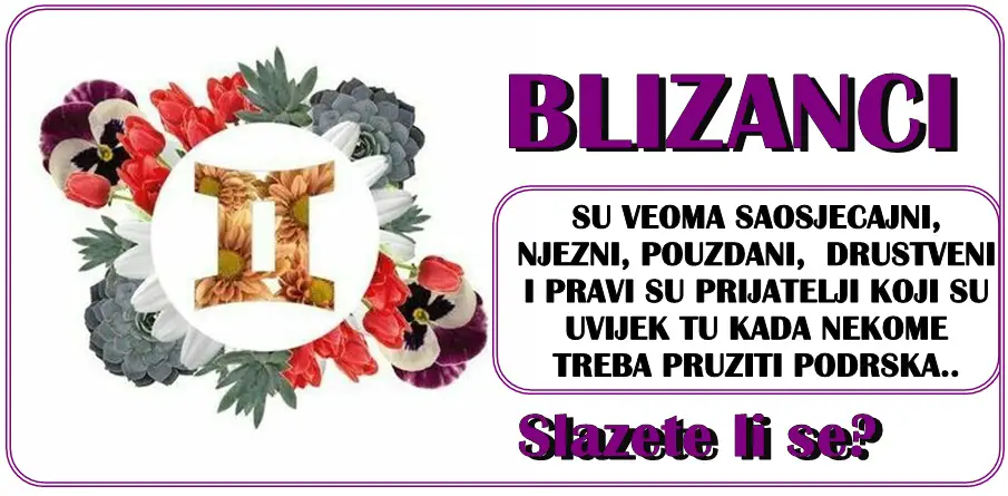 BLIZANCI vaze za ljude sa teskim karakterom,ali imaju dusu za pozeleti!