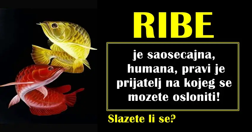 RIBA je saosecajna