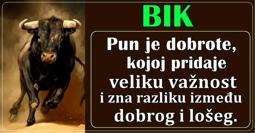 BIK je PRIKRIVENI GENIJE, mnogi misle da NIJE JAK, ali ono sto NAUMI, on i OSTVARI…