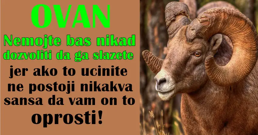 OVAN – daje SVOJ ZIVOT na tacni za one koje VOLI,ali ko ga POVREDI – dobija   OPASNOG NEPRIJATELJA…