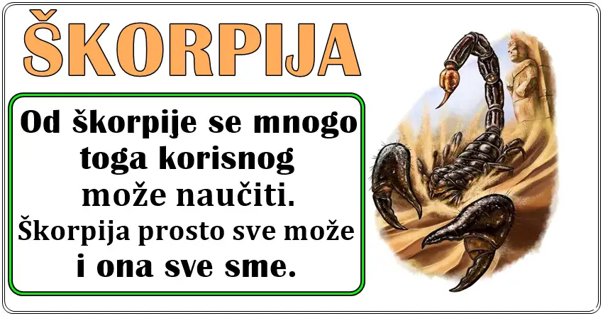 Škorpija: Neverovatno je moćna, snažna i hrabra - Niko joj ništa ne može!