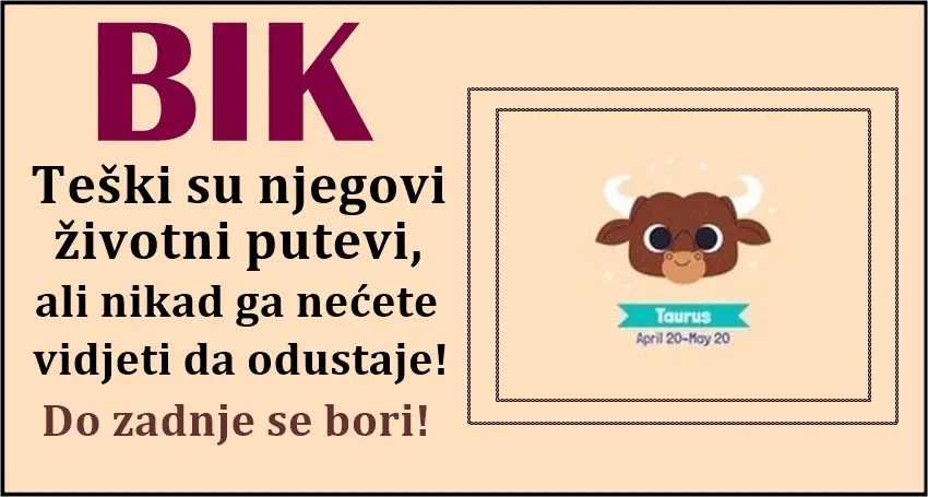 ISKREN JE DO SRŽI – Bik će ti uvek reći ISTINU ma kakva da ona bila!