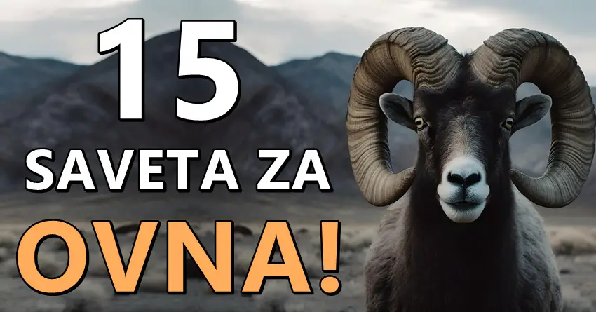 15 Saveta za Ovna