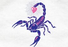 Škorpija nikada neće sebi dozvoliti da zavisi od nekoga!