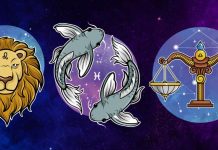 LAV, RIBE I VAGE: Maj bi vama mogao biti najsrećniji!