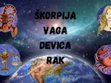 skorpija vaga devica rak