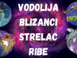 vodolija blizanci strelac ribe