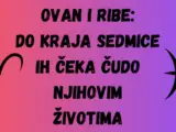 OVAN I RIBE