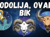 vodolija ovan bik