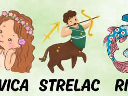 Devica, Strelac, Ribe: Njihova ljubav ne poznaje granice, oni čuda čine zarad sreće voljenih osoba!