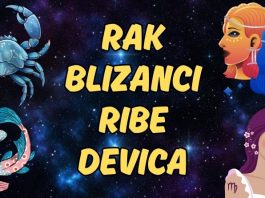 Rak, Blizanci, Ribe i Devica: Ako si rođen u ovim znakovima, pročitaj ovaj tekst – saznaćeš nešto vrlo bitno!