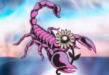 Škorpija je osoba koja zna da život nije lak, ali kada je najteže – ona postaje jača od sudbine!