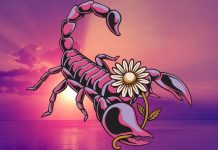 8 razloga zašto niko ne može da zameni ljubav jedne škorpije!