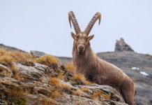 Jarčevi, SREDA 20. AVGUST će vam biti SUPER ZANIMLJIV DAN, očekujte neočekivano!