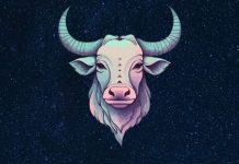 BIK – DNEVNI HOROSKOP ZA SUBOTU 22. NOVEMBAR: DAN KAKAV SE SAMO POŽELETI MOŽE, imate osećaj da sve dolazi na svoje mesto!