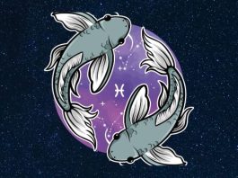 RIBE – DNEVNI HOROSKOP ZA SREDU 12. NOVEMBAR: DAN ZAPOČINJE JAKO TEŠKO, ALI POSLE TOGA DOLAZE OSMESI, vaše raspoloženje će se menjati!