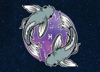 RIBE – DETALJNI HOROSKOP DO 27. DECEMBRA: ONO NA ŠTA ČEKATE CELE GODINE, SUZE RADOSNICE, dolaze vam nezaboravni trenuci!