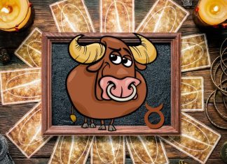 Bik: Horoskop po ciganskim kartama za januar, saznaj šta te očekuje!