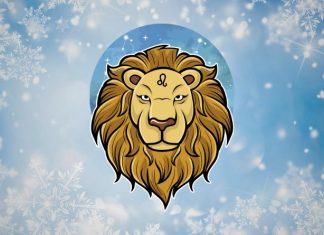 LAV – NIŠTA NIJE SLUČAJNO: Sudbina sprovodi svoje planove i to ovako izgleda!