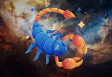 ŠKORPIJA: Život vam se okreće naglavačke! Spremite se, jer velike promene dolaze!