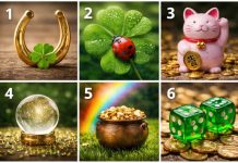 IZABERI SIMBOL SREĆE: SAZNAJ KOLIKO SREĆE ĆEŠ IMATI DO KRAJA GODINE!