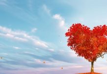 ZAPISANO JE U ZVEZDAMA DA PONOVO BUDU ZAJEDNO: OVI znaci će SIGURNO započeti novu vezu sa BIVŠOM LJUBAVI, jer sudbina je od svega jača!