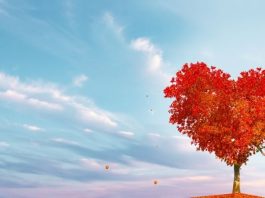 ZAPISANO JE U ZVEZDAMA DA PONOVO BUDU ZAJEDNO: OVI znaci će SIGURNO započeti novu vezu sa BIVŠOM LJUBAVI, jer sudbina je od svega jača!