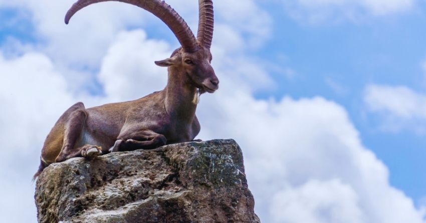 df - 2025-06-27T215711.908