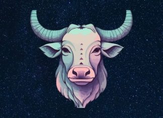 BIK – DNEVNI HOROSKOP ZA PETAK 6. FEBRUAR: VEROVALI STE POGREŠNIM LJUDIMA I DANAS PLAĆATE ZA TO, neće vam biti lako!